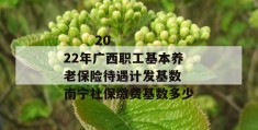 
       2022年广西职工基本养老保险待遇计发基数 南宁社保缴费基数多少
     