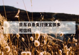 京东白条支付便宜很多可信吗