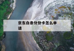 京东白条分分卡怎么申请