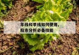 年线和季线如何使用,股市分析必备技能