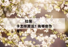 
       社保卡怎样激活？有哪些作用？
     