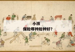 
       小孩保险哪种险种好？
     