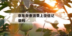 京东白条消费上征信记录吗