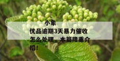 
       小象优品逾期3天暴力催收怎么处理，本篇隆重介绍！
     