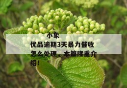 
       小象优品逾期3天暴力催收怎么处理，本篇隆重介绍！
     