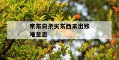 京东白条买东西未出账啥意思