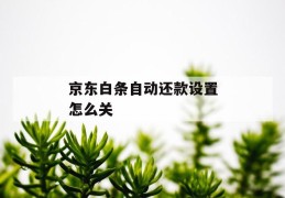 京东白条自动还款设置怎么关