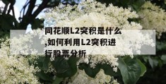 同花顺l2突积是什么,如何利用l2突积进行股票分析