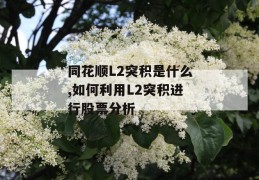 同花顺l2突积是什么,如何利用l2突积进行股票分析