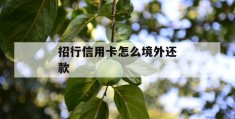 招行信用卡怎么境外还款