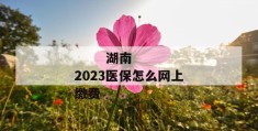 
       湖南2023医保怎么网上缴费
     