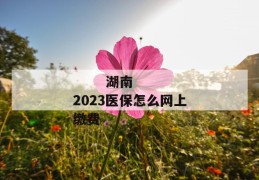 
       湖南2023医保怎么网上缴费
     