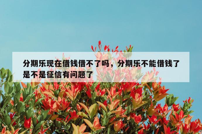 分期乐现在借钱借不了吗，分期乐不能借钱了是不是征信有问题了 第1张