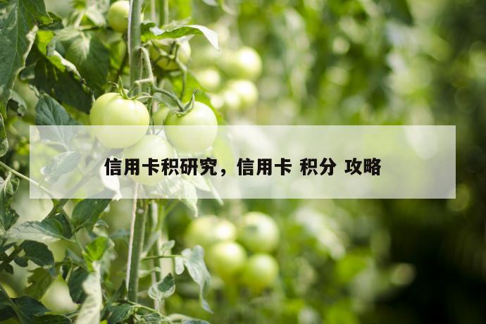 信用卡积研究，信用卡 积分 攻略 第1张