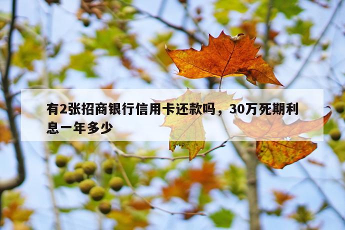 有2张招商银行信用卡还款吗，30万死期利息一年多少 第1张