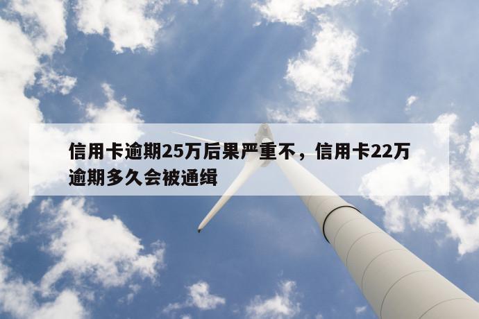 信用卡逾期25万后果严重不，信用卡22万逾期多久会被通缉 第1张