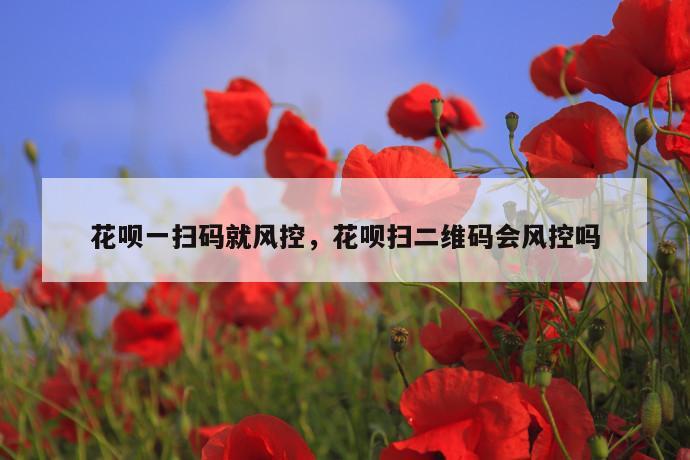 花呗一扫码就风控，花呗扫二维码会风控吗 第1张