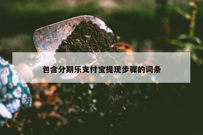 包含分期乐支付宝提现步骤的词条 第1张