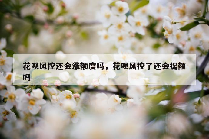 花呗风控还会涨额度吗，花呗风控了还会提额吗 第1张