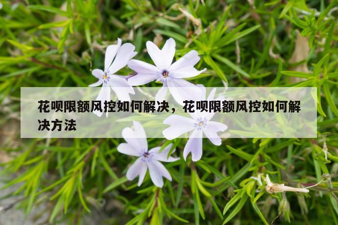 花呗限额风控如何解决，花呗限额风控如何解决方法 第1张