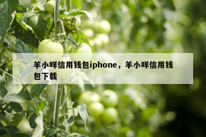 羊小咩信用钱包iphone，羊小咩信用钱包下载 第1张