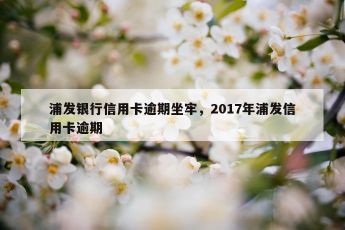 浦发银行信用卡逾期坐牢，2017年浦发信用卡逾期 第1张