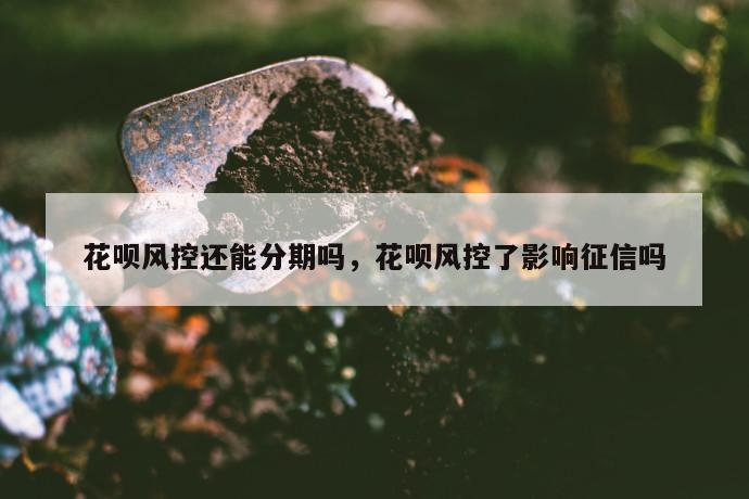 花呗风控还能分期吗，花呗风控了影响征信吗 第1张