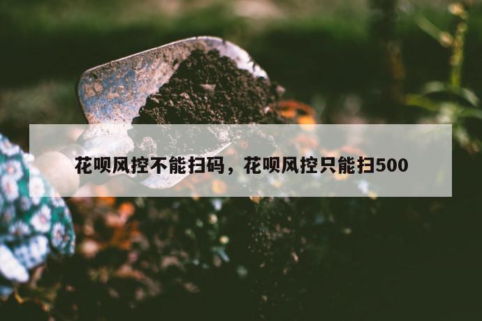 花呗风控不能扫码，花呗风控只能扫500 第1张