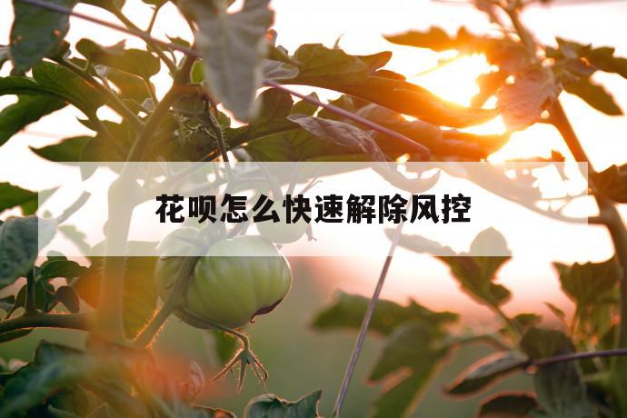 花呗怎么快速解除风控 第1张