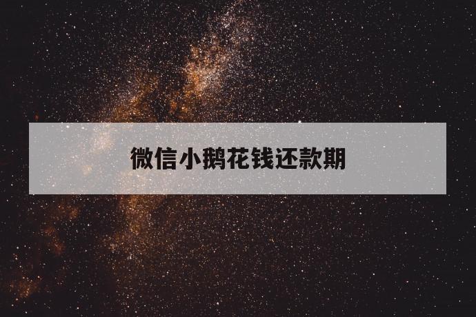 微信小鹅花钱还款期 第1张