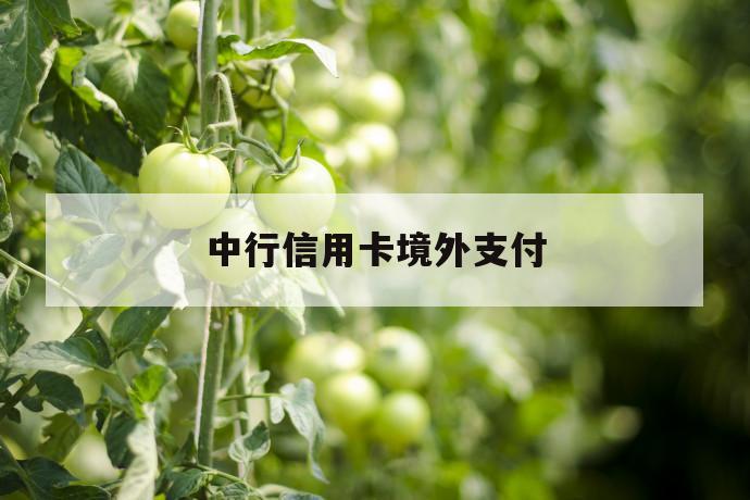 中行信用卡境外支付 第1张