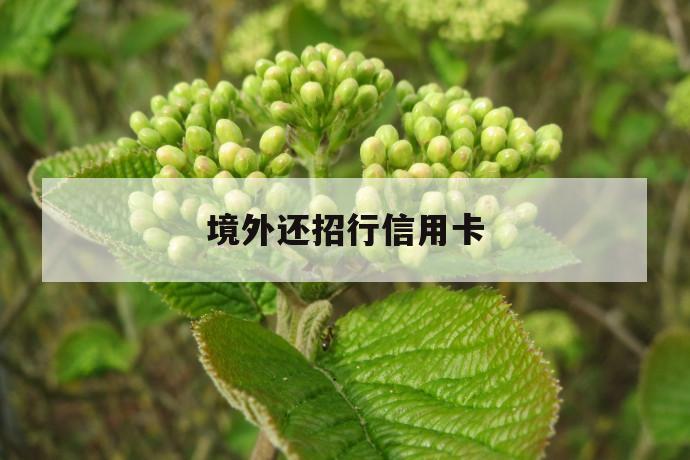 境外还招行信用卡 第1张