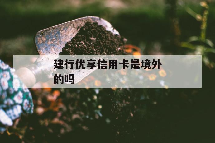 建行优享信用卡是境外的吗 第1张