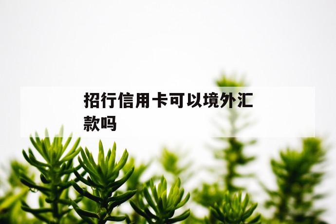 招行信用卡可以境外汇款吗 第1张