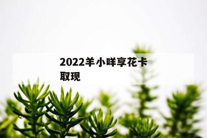 2022羊小咩享花卡取现 第1张