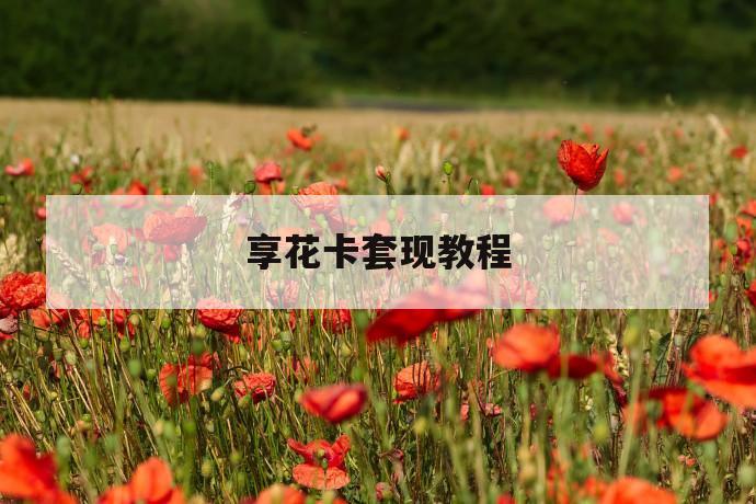 享花卡套现教程 第1张