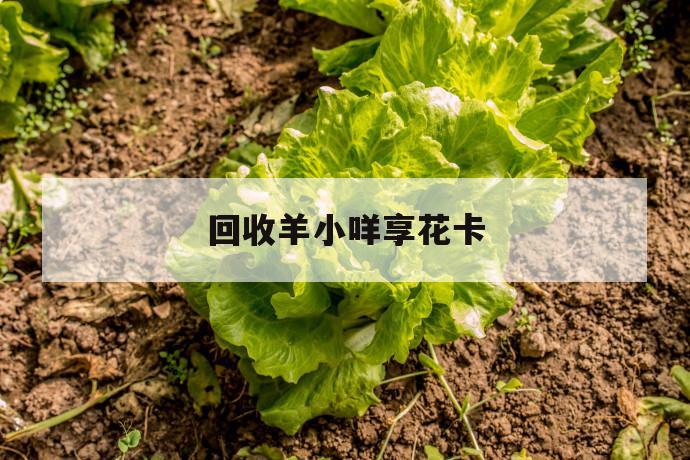 回收羊小咩享花卡 第1张