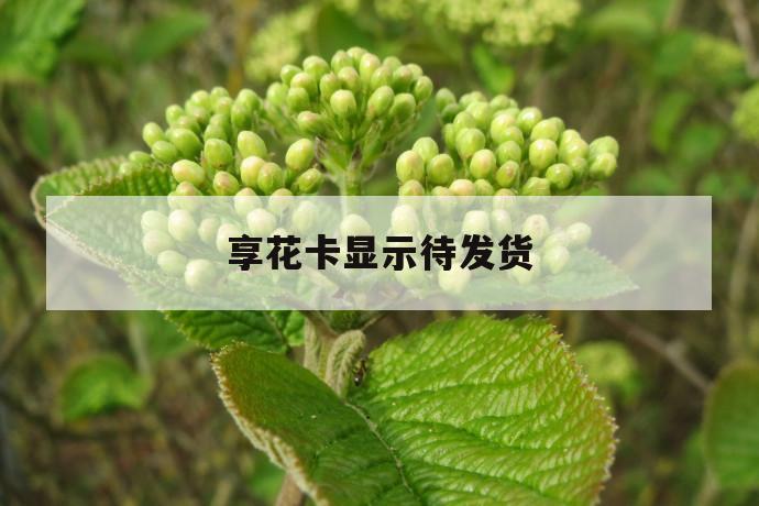 享花卡显示待发货 第1张