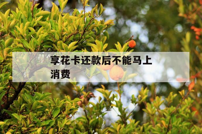 享花卡还款后不能马上消费 第1张