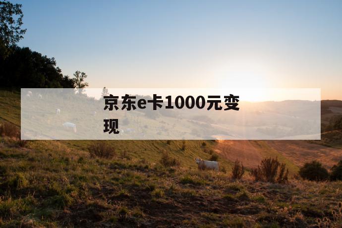 京东e卡1000元变现 第1张