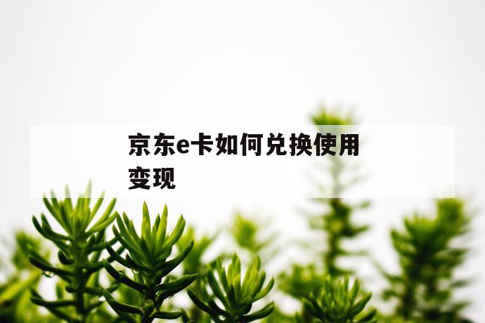 京东e卡如何兑换使用变现 第1张