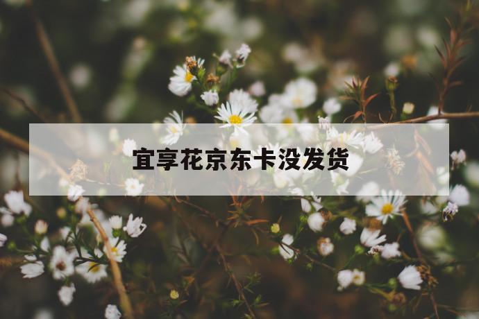 宜享花京东卡没发货 第1张