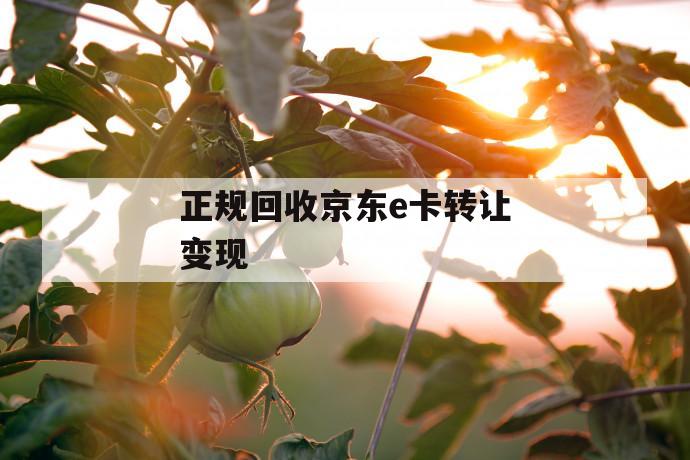 正规回收京东e卡转让变现 第1张