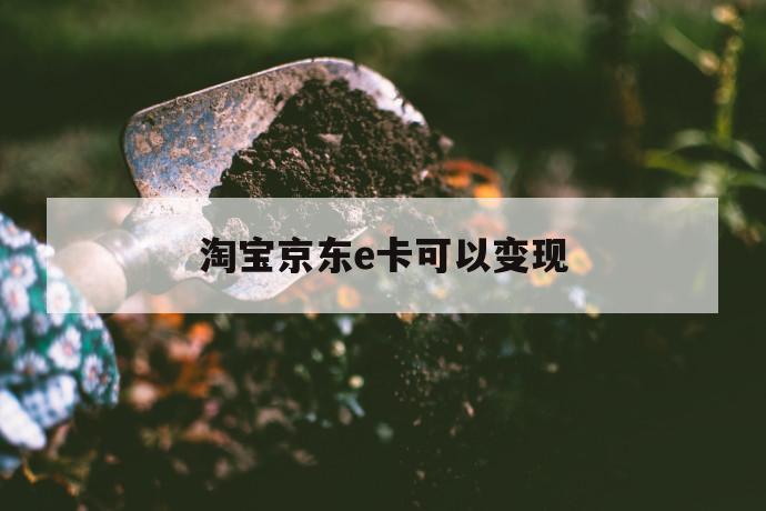 淘宝京东e卡可以变现 第1张