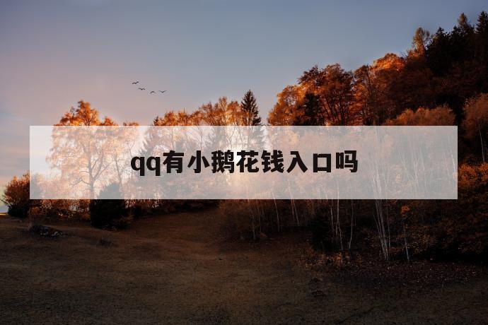 qq有小鹅花钱入口吗 第1张