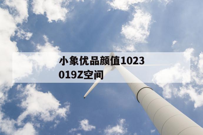 小象优品颜值1023019z空间 第1张