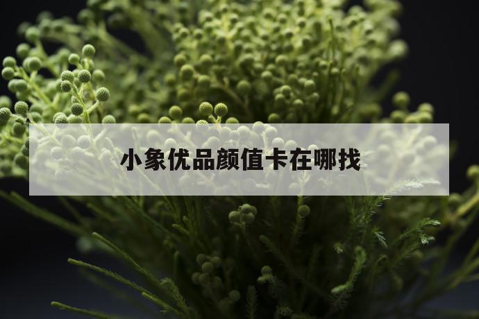 小象优品颜值卡在哪找 第1张