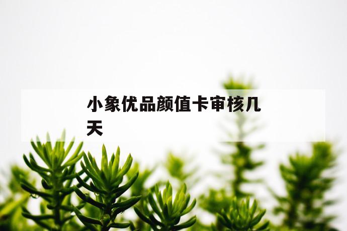 小象优品颜值卡审核几天 第1张