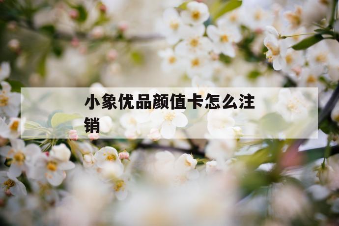 小象优品颜值卡怎么注销 第1张