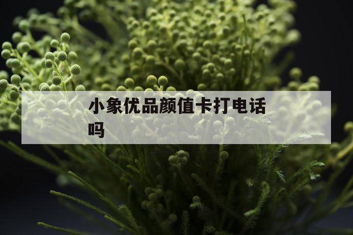 小象优品颜值卡打电话吗 第1张